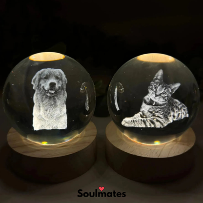 כדור הרגעים היפים